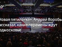 "Результаты, которые видно". Бизнес призвали развивать Подмосковье вместе с властями