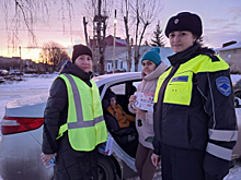 В Липецкой области автоинспекторы и их помощники настаивают на безопасной перевозке маленьких пассажиров