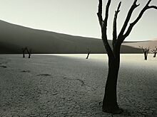 Миру грозит  катастрофа «библейских масштабов»