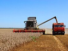 Неблагоприятные погодные условия не позволили аграриям Татарстана собрать ожидаемый урожай зерна