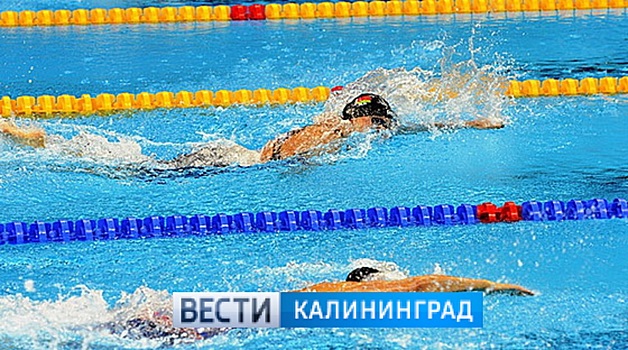 Калининградская спортсменка завоевала бронзовые медали Кубка Европы