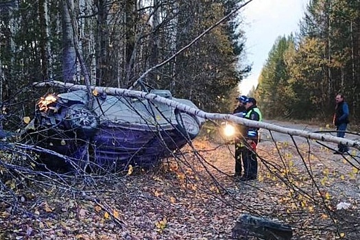 В Свердловской области три человека погибли в ДТП