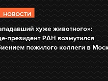 «Нападавший хуже животного»: вице-президент РАН возмутился избиением пожилого коллеги в Москве