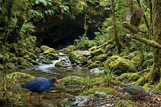 В древней пещере нашли "затерянный мир" возрастом в миллионы лет