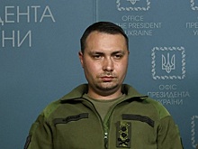 Цеков: Буданов* будет подталкивать Зеленского к непопулярным действиям