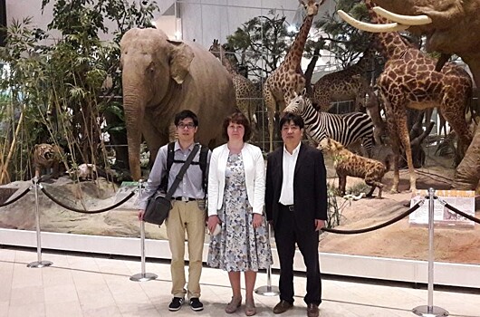 В Дарвиновском музее обменялись опытом с коллегами из Шанхая
