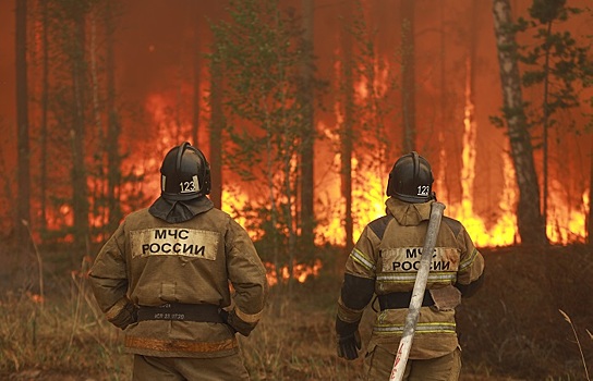 В Приморье зафиксировали девять лесных пожаров