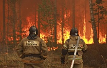 В Приморье зафиксировали девять лесных пожаров