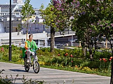 Россияне получат больше: В ФНПР объяснили новые ограничения для курьеров