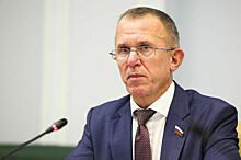 Сенатор Кравченко предложил ввести повышенные налоги для вернувшихся брендов