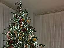 Бизнесвумен Ида Галич опубликовала фото новогоднего интерьера квартиры