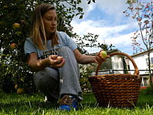 Дача — это маленькая жизнь