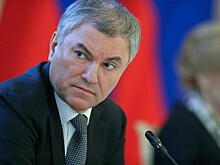 Володин: Польша должна ответить за истязания красноармейцев