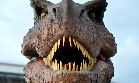 Открыт новый вид гигантского хищного динозавра