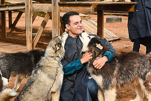 «Купание в собаках»: подкаст «Путь‑дорога» рассказывает о хаски‑деревне в Подмосковье