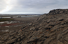 Ученые Арктического плавучего университета изучают "жизнь в камне"