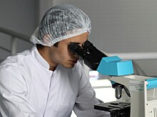 Создан первый инструмент для редактирования митохондриальной ДНК