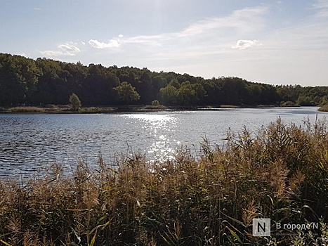 Нижегородцы просят очистить озеро Бурнаковской низины от нефтепродуктов