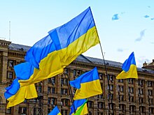 В Киеве предупредили, что Зеленский может позавидовать судьбе Януковича