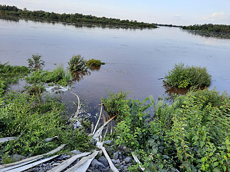 Жители Белогорья десять лет страдают от грунтовых вод