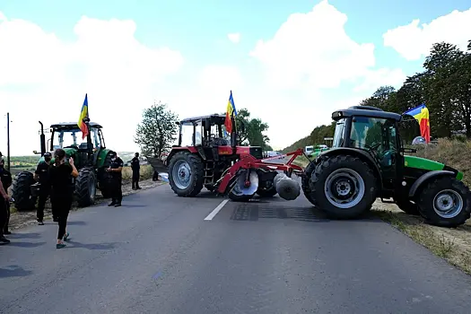 Эксперт объяснил причины кризиса в сельском хозяйстве Молдовы
