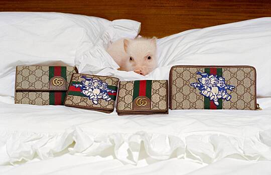 Gucci выпустили коллекцию к китайскому Новому году… с поросятами!