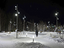 Нижневартовские активисты оригинально утеплили на зиму молодые саженцы в новом сквере