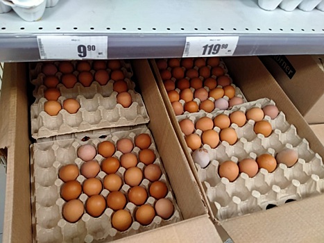 Золотые яйца: цены магазинов догнали фермерский продукт