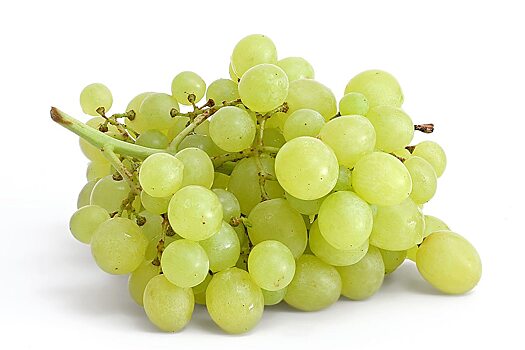 Опасный вредитель обнаружен в итальянском винограде и сливе