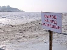 Приморские рыбаки за год нарастили уловы на 9%