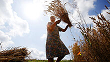 Поставки пшеницы через Суэцкий канал за две недели упали на 40%