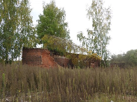 Более 160 незаконных строений обнаружили жители Подмосковья