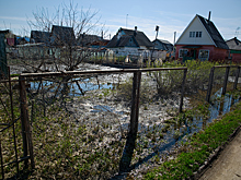 Росреестр Кузбасса сообщил об ограничении на продажу и дарение земельных участков с 1 марта