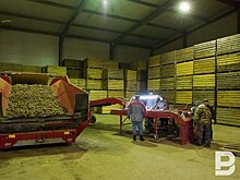 За год в Татарстане из оборота изъяли более 6,3 тысячи кг плодоовощной продукции