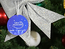 МВД России продолжает участвовать в благотворительной акции «Елка желаний»