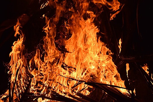 Расследование уголовного дела о разрушительных природных пожарах продолжается в Приморье