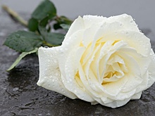 Умерла актриса Кэрол Локателл