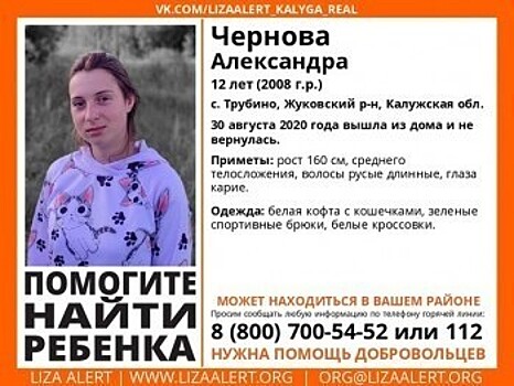 В Калужской области пропала 12-летняя девочка
