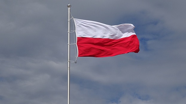 Польша возобновила прокачку нефти по нефтепроводу «Дружба»