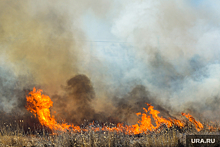 Для тушения лесных пожаров в ЯНАО и Якутии направили более 150 парашютистов-десантников
