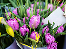 Назван способ сэкономить на букетах к 8 Марта