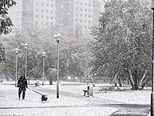 Москвичам рассказали об удивительной погоде