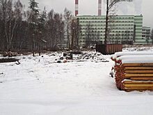 Московские застройщики атакуют Лосиный остров