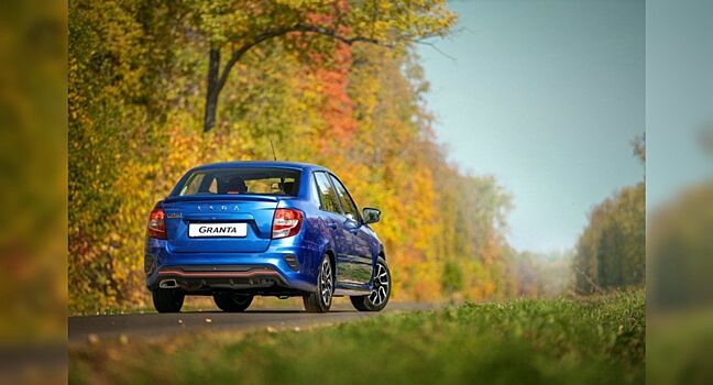 Действуют ли ПДД в лесах и полях