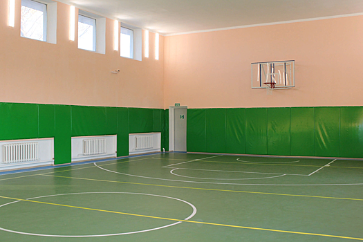Спортзалы семи сельских школ отремонтируют на Дону до конца года