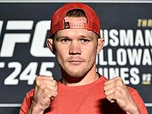 Бой Ян – Стерлинг может пройти на новогоднем турнире UFC