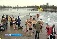 В Калининград впервые приехали моржи из Польши