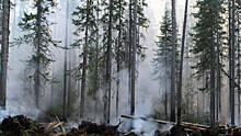 Скорость распространения пожаров в Сибири и на Дальнем Востоке уменьшилась в пять раз