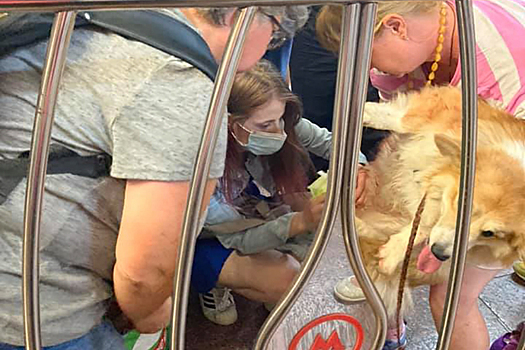 Инцидент с собакой в московском метро возмутил москвичей