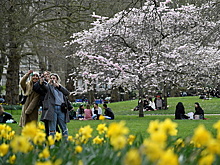 Британия продлит до августа запрет на зарубежные поездки